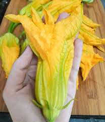 4545456.jpg